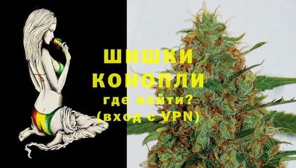 стафф Богородицк