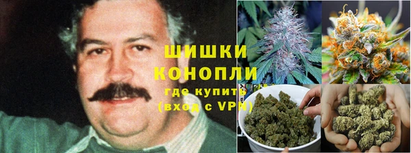 mdma Новодвинск