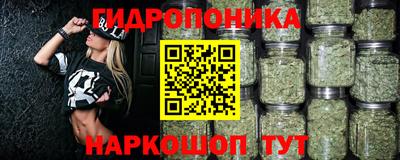 сатива Гусиноозёрск