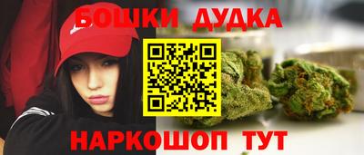 гашик Гусев